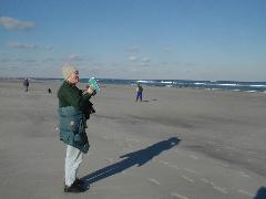 Crane Beach