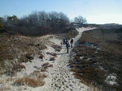 Crane Beach