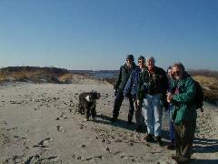 Crane Beach