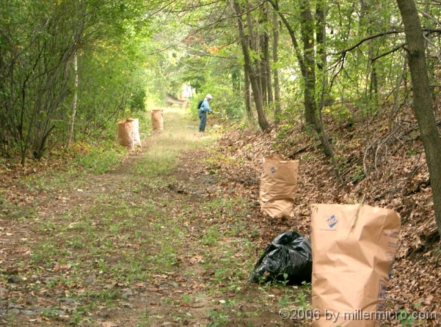 041002CRTCleanUp2 Regular brush doesn't need special handling. But we carefully bag and remove invasive plants, such as honeysuckle and Japanese knotweed.