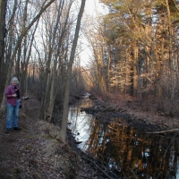 020226JillonSnkBkTrail Where the CRT is wide and smooth, the Snake Brook Trail is narrow and winding, one of the various types of trails within the greater CRT network.