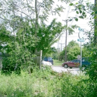 040605CRT2 The same crossing, but the view from the CRT right-of-way south over Route 30 looks a lot nicer!