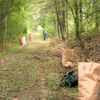 041002CRTCleanUp2 Regular brush doesn't need special handling. But we carefully bag and remove invasive plants, such as honeysuckle and Japanese knotweed.