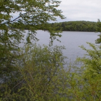 P5150049 A view of Lake Cochituate's Middle Pond, from the CRT.