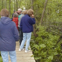 SBTtour010515 A nature walk along the Snake Brook Trail.