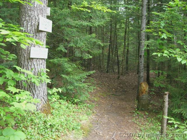 070601ColdRiverCamp_Trails1 The camp has a LOT of well-managed trails, and connects to even more trails in the nearby woods and mountains.