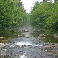 070601ColdRiverCampView2 Misting in the background, it's the Cold River from which this AMC camp takes its name. We're close to camp, just downstream from the local swimming spot and standing on...
