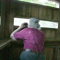 070601ColdRiverCamp_JillInBlind Jill's spotting deer. Nice. The week before, folks spotted many moose. We waited well into dusk, but didn't have that much luck.