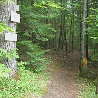 070601ColdRiverCamp_Trails1 The camp has a LOT of well-managed trails, and connects to even more trails in the nearby woods and mountains.