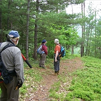 070602ColdRiverCamp_ClearingTrail_1024 We're off on a trail-clearing trip. Plants grow fast in the White Mountains, and trails need regular clearing of brush and blowdowns. The Chatham Trails Association has volunteered for that since 1921.