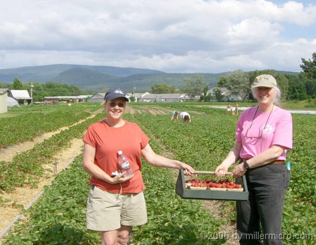 060627LissAndJillPickStrawberries Melissa and Jill (and Dick) gathered all these incredibly delicious strawberries in about ten minutes, at a farm in Bradford, VT.