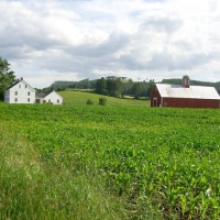060627FarmInBradfordVT Vermont is full of farms with views. This one is along Route 5.