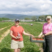 060627LissAndJillPickStrawberries Melissa and Jill (and Dick) gathered all these incredibly delicious strawberries in about ten minutes, at a farm in Bradford, VT.