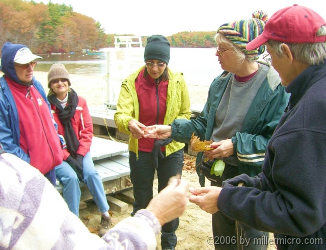 061026RockyNarrows10 At the beach on Farm Pond, Jill Miller of Natick (a botanist, and the owner of <a href=http://womanstouchgardening.com/> Woman's Touch Gardening</a>), identifies fallen leaves and shares information about the various trees from which they come.