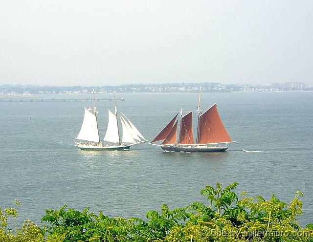 060727Roseway2 It's the <a href=http://www.roseway.com>Roseway</a>! A fine old Boston pilot schooner, she was refitted for the windjammer tourist trade. Decades ago, Jill and I sailed the Roseway from Camden, Maine downeast to Halifax, Nova Scotia and back, to join the Tall Ships Parade that helped celebrate that city's 350th anniversary!