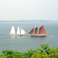 060727Roseway2 It's the 